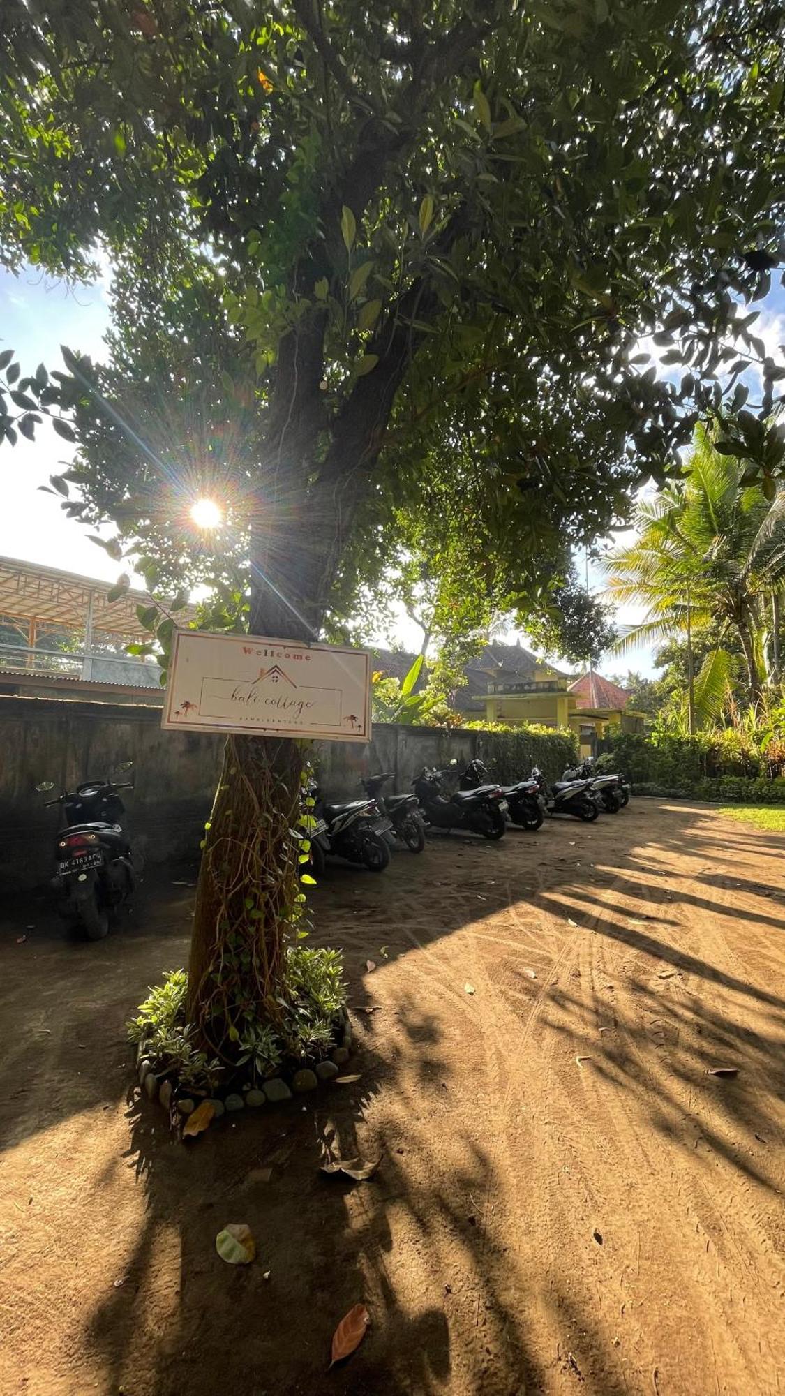Bali Cottage Sambirenteng Булеленг Экстерьер фото